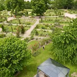 Le Jardin Des Roses * Saverne