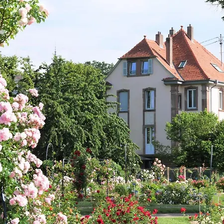 Le Jardin Des Roses *