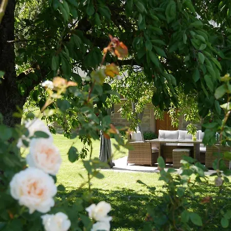 Le Jardin Des Roses Saverne