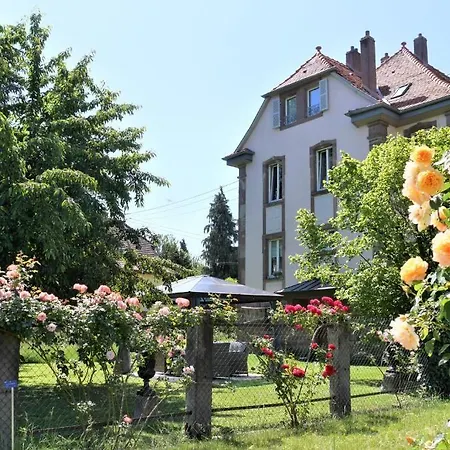 Le Jardin Des Roses * Saverne