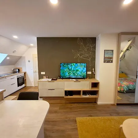 Apartament Le Jardin Des Roses *