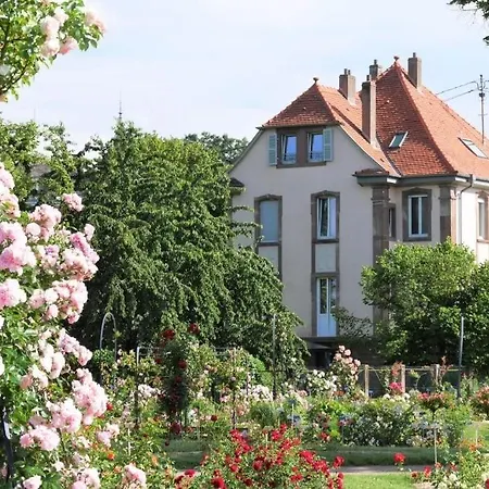 Le Jardin Des Roses *