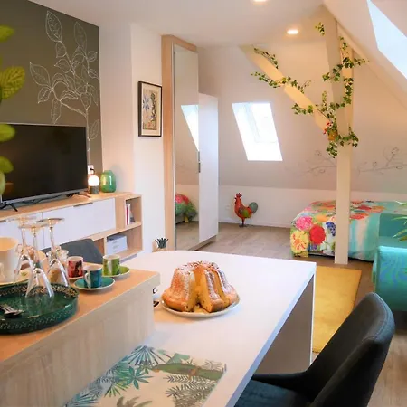Le Jardin Des Roses Apartment Saverne