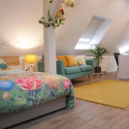 Le Jardin Des Roses Apartment Saverne
