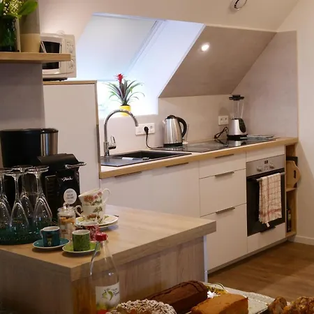 Le Jardin Des Roses Apartment *