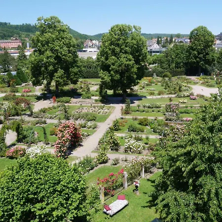 Le Jardin Des Roses * Saverne