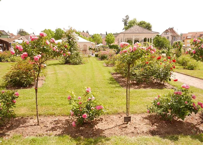Le Jardin Des Roses