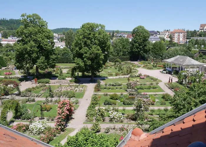 Le Jardin Des Roses Апартаменты Саверн