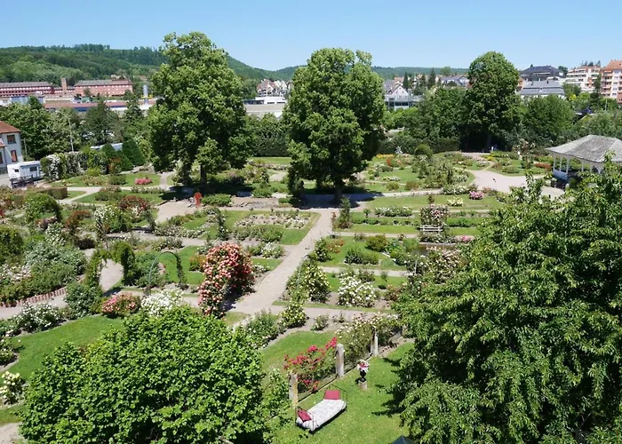 Le Jardin Des Roses * Saverne